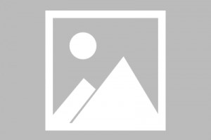 QQ仙灵特技:善门技是什么