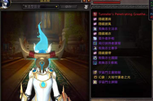 魔兽世界战火装备有什么区别吗